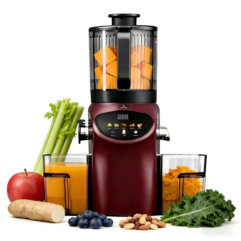 High-end Electric 6.30inch Ext - Electric Slow Juicer Cold Press 评论和价格